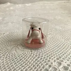 めでたや 子ウマ