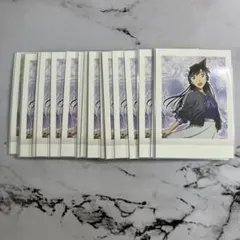 名探偵コナン ぱしゃこれ 隻眼の残像 毛利蘭 26枚