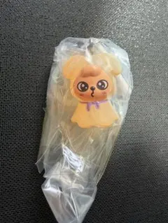 SKZOOめじるしアクセサリー/パピーム