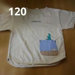 SIMPLE FREE 恐竜ポケット Tシャツ 120cmのサムネイル