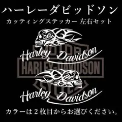 Harley-Davidson系ステッカー ドクロ仕様
