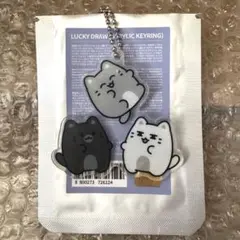 SEVENTEEN ミニティーン キーリング ジュン JUN