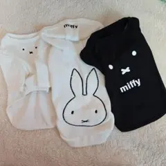 Item thumbnail for item 058a8a11-de33-4f5b-8f85-08124b562973