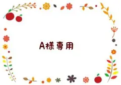 A様 リクエスト 3点 まとめ商品