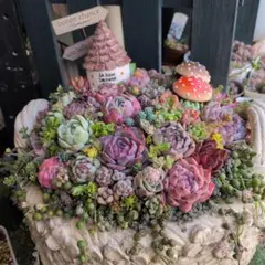 多肉植物 ♡そのまま飾れる寄せ植え♡