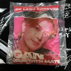 JSB LAND FOREVER クッション 岩田剛典 - メルカリ