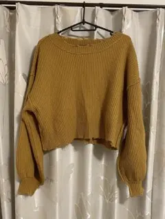 INGNI リブ編みマスタードクロップドセーター秋服