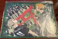 みみこ様専用【終売品】ハイキュー!! 複製原画 最終話 挑戦者たち