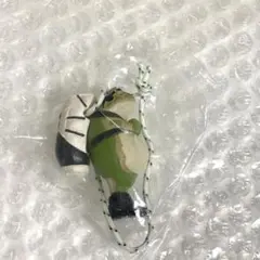 カエル カプセルトイ