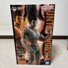 HUNTER x HUNTER ラストワン賞　ゴン