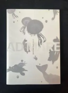 nmixx First Album "ADMIRE" light ver.のサムネイル