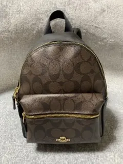美品 希少カラー COACH シグネチャー ミニチャーリー バックパック