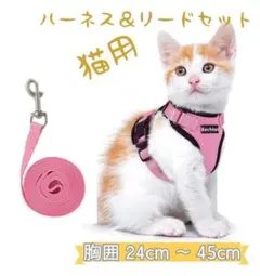 ハーネスリードセット胴体抜けない猫用小型犬用Sサイズピンク