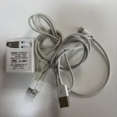 Apple 純正Lightningケーブル2本アダプタ セット