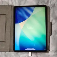iPad Pro11インチ第1世代64GBセルラーモデルシルバー 箱無しケース付 iPad Pro11インチ第1世代64GBセルラーモデルシルバー 箱無しケース付