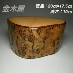 Item thumbnail for item ed45c82f-2ca2-4f6c-8997-0fb30212c286