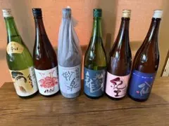 Item thumbnail for item cc0d7aed-f552-41cb-98d0-70ce1d863a99