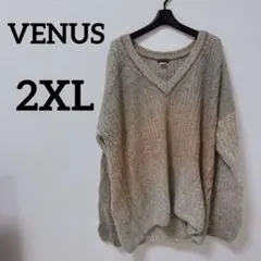 VENUS ベージュ系 Vネックニット 2X グラデーション　ゆったり