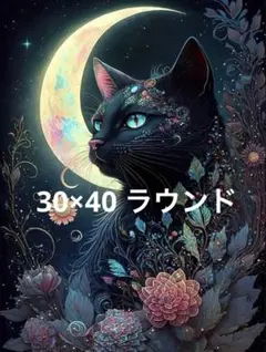 ♣️【30×40】ラウンド　三日月と黒猫　ダイヤモンドアートキット
