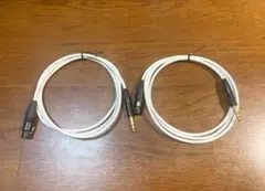 Item thumbnail for item 3b6668cf-3bd4-45b4-83e1-3d9e78cca809