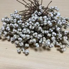ナンキンハゼ ガーデニング