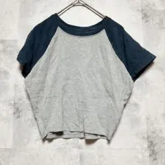 ホリスター バイカラー Tシャツ クルーネック 半袖 L 灰 紺 綿 デイリー