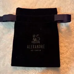 ALEXANDRE DE PARIS ブラックポーチ12×16cm