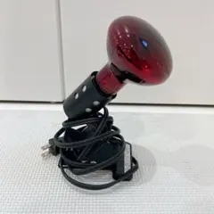 Item thumbnail for item b3b927c3-3bb7-41e4-929b-12db15cedbbe