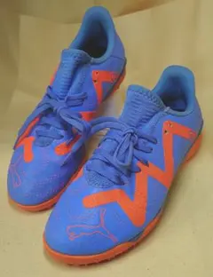 Item thumbnail for item d563b89d-9670-467a-80ac-452c895c8cfc