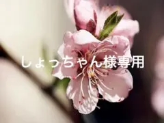 【しょっちゃん様専用】トリミングチョーカー