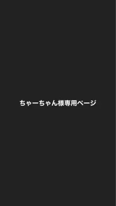 ちゃーちゃん 様　専用ページ