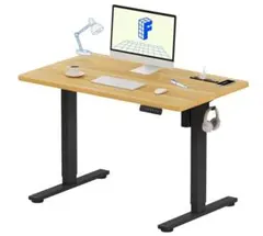 FLEXISPOT 電動昇降デスク EF1B-JA 中古品 - メルカリ