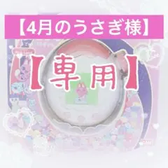 【4月のうさぎ様専用出品】