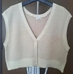 INGNI ニットベスト ベージュ Vネック 骨スト ボタン Mサイズ