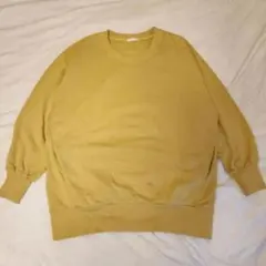 Item thumbnail for item 1ae20c83-d217-45dc-874b-e436ed4bc888