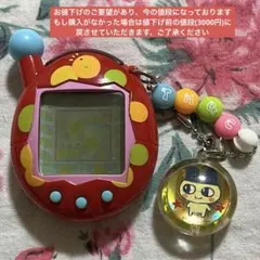 超じんせーエンジョイ！　たまごっちプラス　ビーズほわいと Amazon.co.jp: 超じんせーエンジョイ!たまごっちプラス ビーズほ