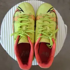 Item thumbnail for item 84131048-1d7a-4bce-87a8-30bc1cfaa2ea