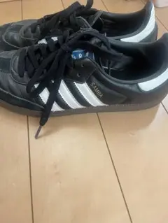 Item thumbnail for item 73edeaa3-8428-4a39-a916-70a1eeaa0e9c