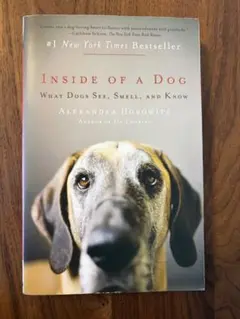 Item thumbnail for item 77ce7d1f-4009-43e4-b407-64c6ca718ca1