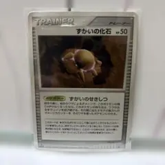 すがい、たての化石。キラ　プロモ　2007 2026年最新】ずがいの化石の人気アイテム - メルカリ