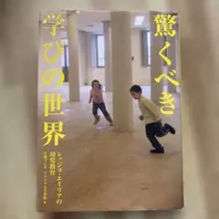 DVDレッジョ・エミリアの幼児教育1 驚くべき学びの世界 - メルカリ
