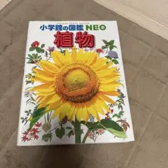 植物