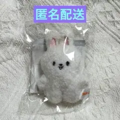 〔Stray Kids〕SKZOO KEYRING MICRO verリービット