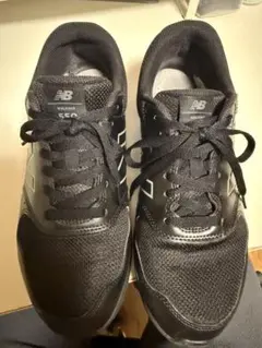 Item thumbnail for item 58d90437-a7f7-4448-8d84-b086e06ef756