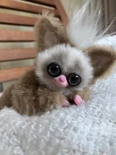 まなあき様専用✨ショウガラゴ、モンスターちゃん⭐︎アートドール