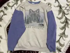 Item thumbnail for item 53b06d1f-68d9-4024-8a5f-5b3f1f939ebb