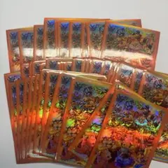 東京能魚様 リクエスト 3点 まとめ商品