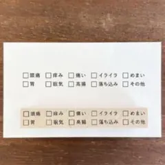 スタンプマルシェ ☑️リスト１０項目・体調 日本製 はんこ