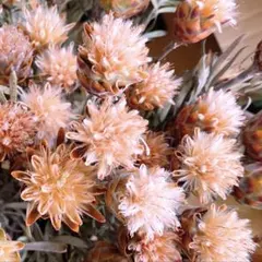 タケユコ様 リクエスト 2点 まとめ商品