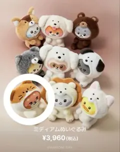ZEROBASEONE テレ テニニ ぬいぐるみ 箱付き - メルカリ